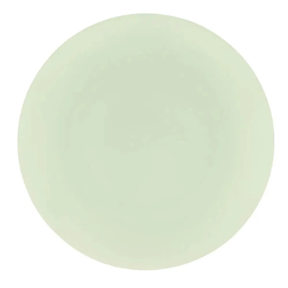 Combo set 10.25in. & 7.5in. Mint Green Tulip Round Plastic Dinnerware Set
