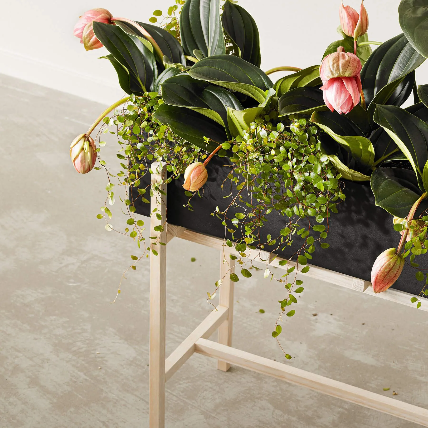 Design House Stockholm Botanic Flower Stand