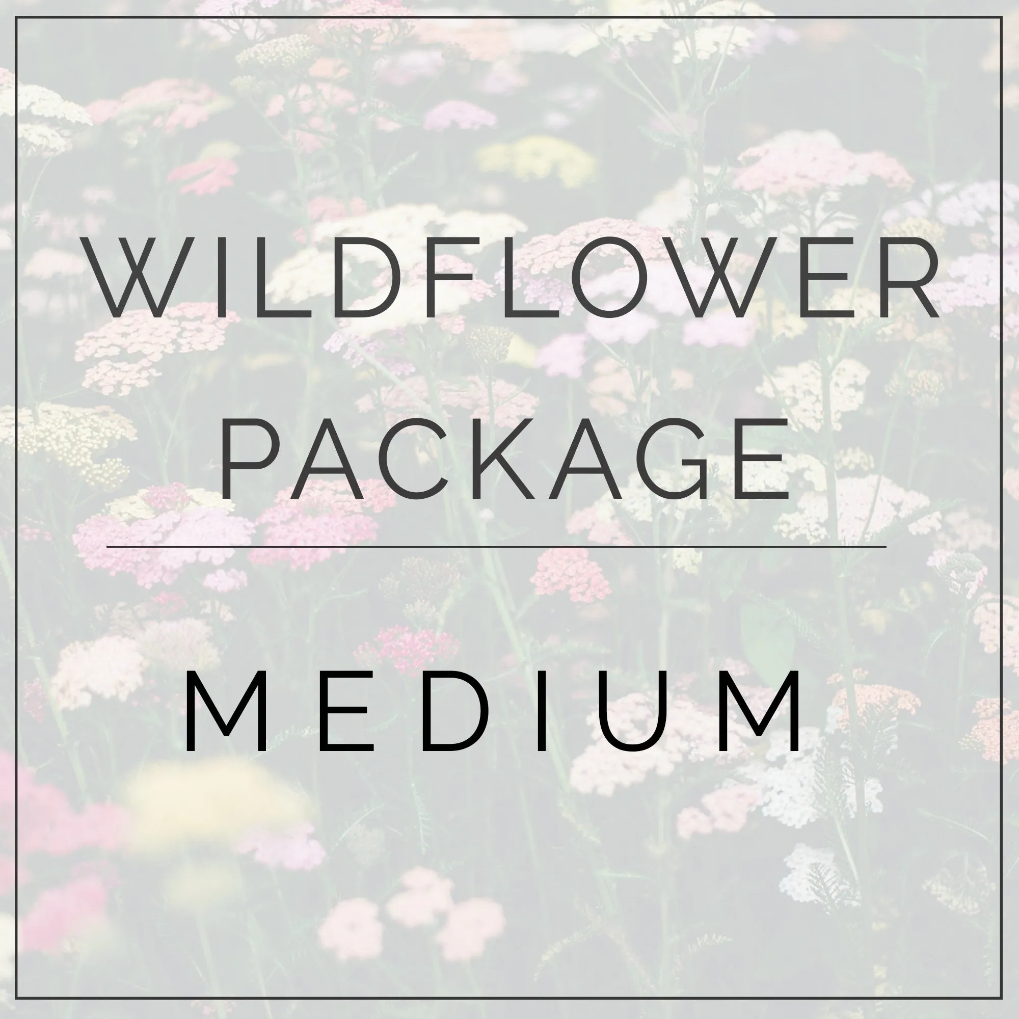 Wildflower- Medium Package