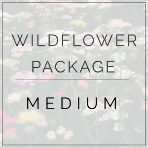 Wildflower- Medium Package